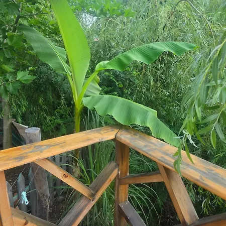 ла пуеста де соль Burgas City