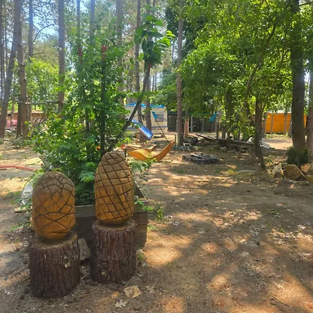 Kamp alanı ла пуеста де соль *