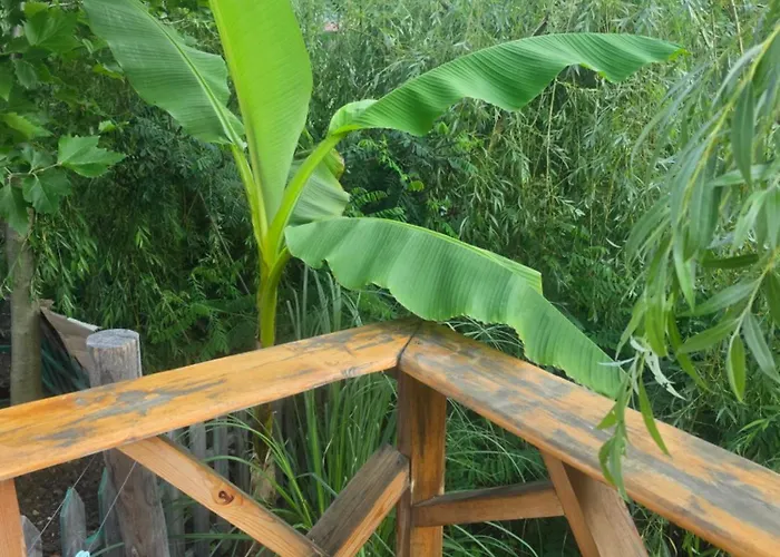 ла пуеста де соль Burgas City